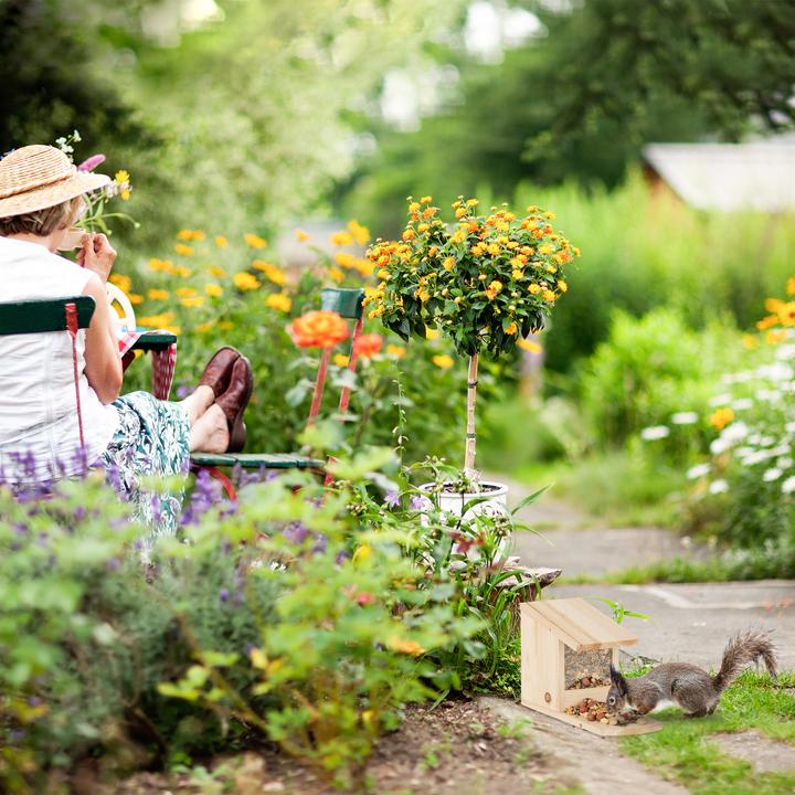 Produktbild Relaxdays Eichhörnchen Futterhaus