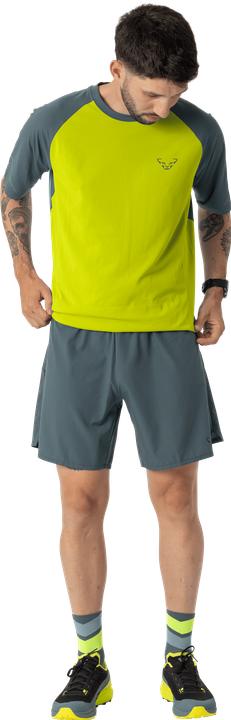 Produktbild Dynafit Alpine Shorts (46, S)