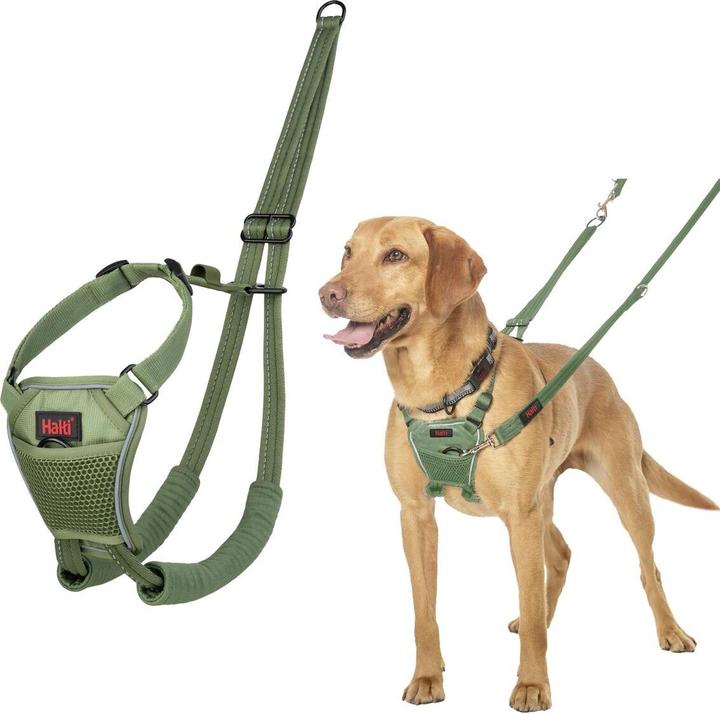 Image du produit Halti Vert forêt (12, Chien, Général)