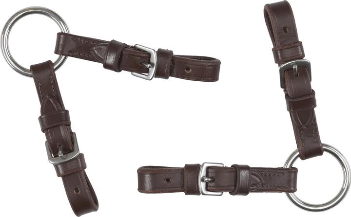 Actual product image Horse Guard Ring for bits