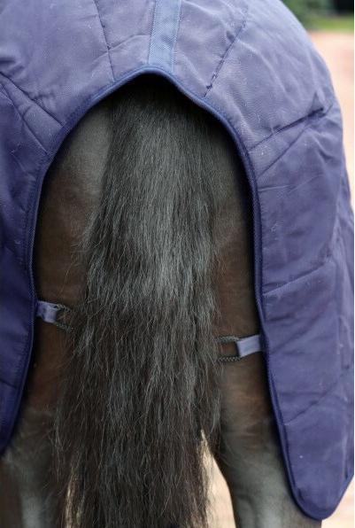 Actual product image Kerbl RugBe under/stable rug 2in1, 155cm, navy (155 cm)