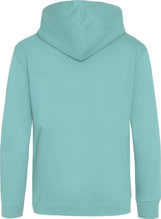 Image du produit Awdis Pull à capuche (146)