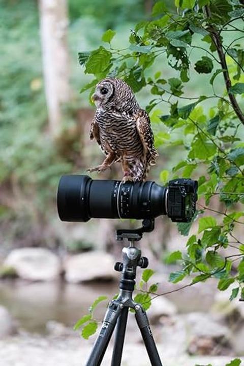 Productafbeelding Tamron AF 150-500mm F/5.6-7 Di III VC VXD Fuji X - (EU) (Fujifilm X, Volledig formaat)