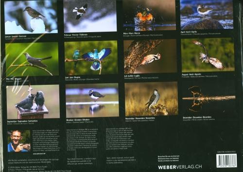 Produktbild Vögel der Schweiz 2026