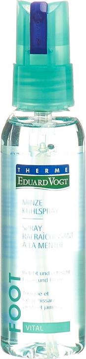 Produktbild Eduard Vogt Eduard Minze Fuss (Fussdeodorant & -puder, 100 ml)