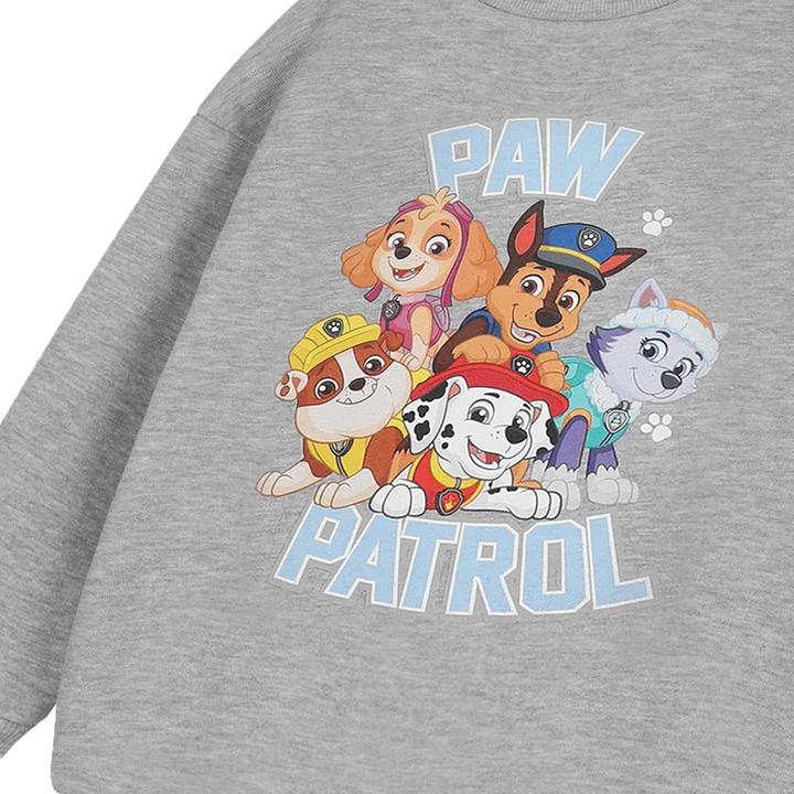 Immagine prodotto Paw Patrol Felpa Logo Bambini (98)