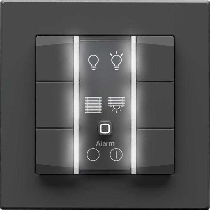 Produktbild Homematic IP HmIP-WRC6-230-A