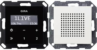 Actual product image Gira System 55 (FM)