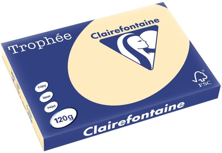 Peau de chamois
