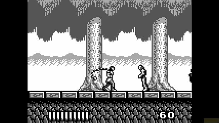 Actual product image Konami Castlevania - Anniversary Collection (PS4, EN)