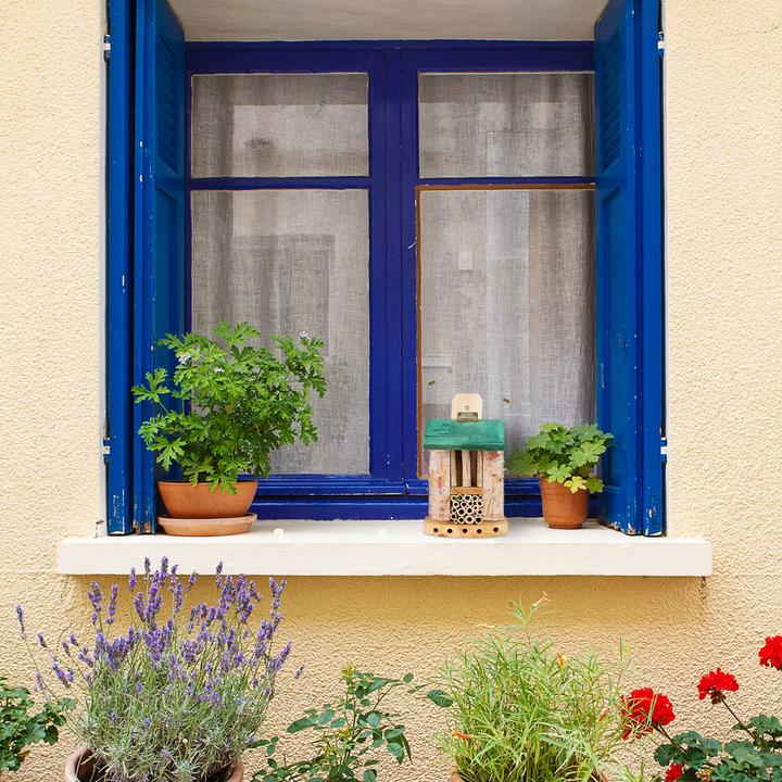 Immagine prodotto Relaxdays Casetta insetti (Api)