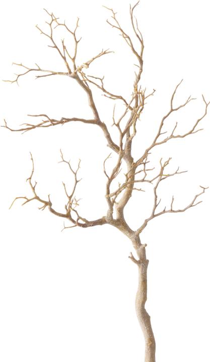 Image du produit Boltze Home Branche décorative