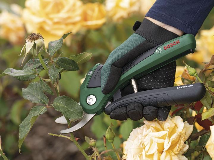 Actual product image Bosch Home & Garden EasyPrune