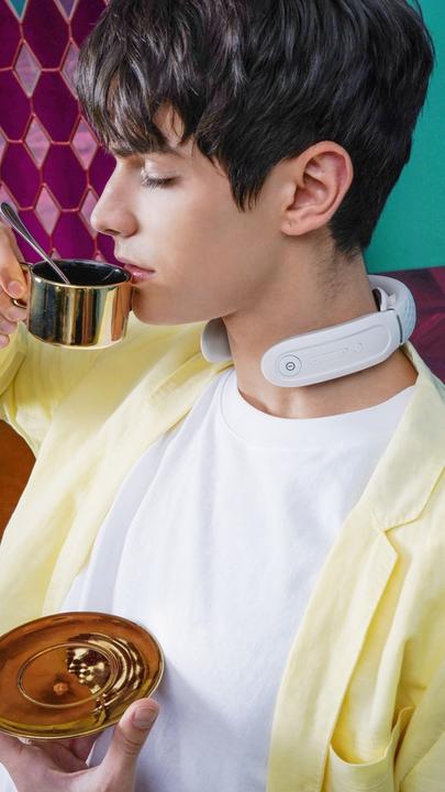 Actual product image SKG Neck massager