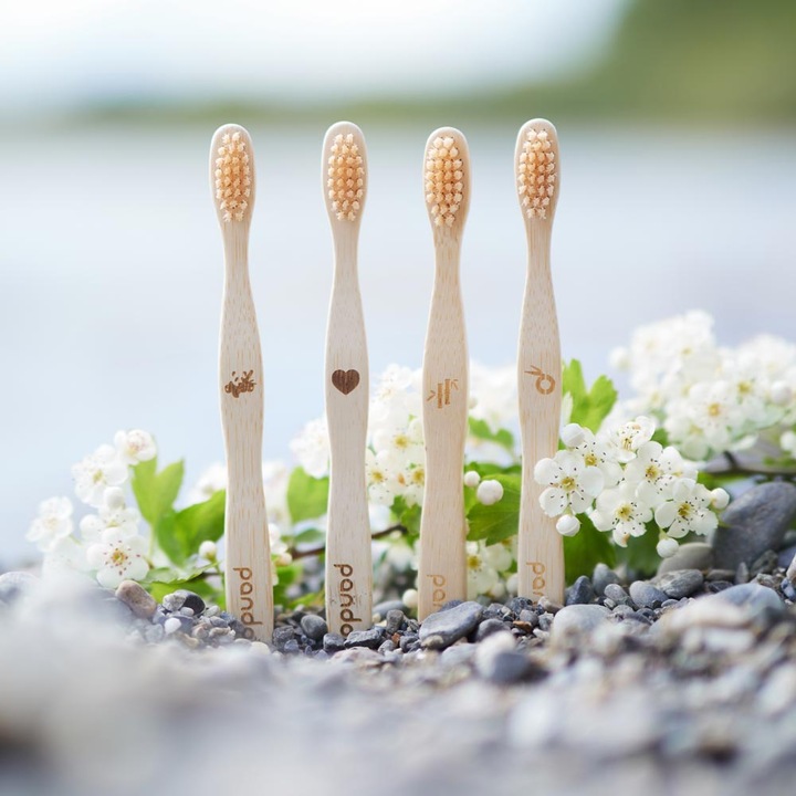 Image du produit Pandoo Brosses à dents en bambou (Moyen, 4 x)