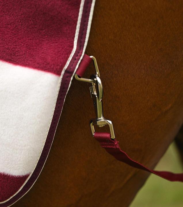 Actual product image Premier Equine Vellus