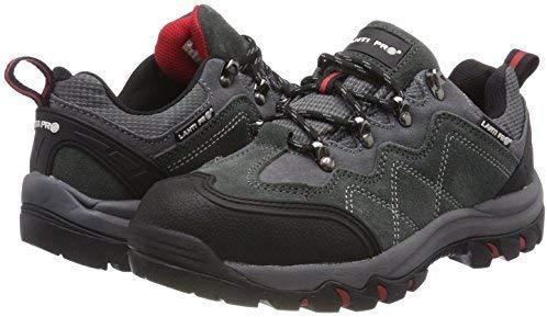 Immagine prodotto Lahti Pro Scarpe di camoscio grigio-rosso, s1p sra, "40", ce, lhti (S1P, 40)