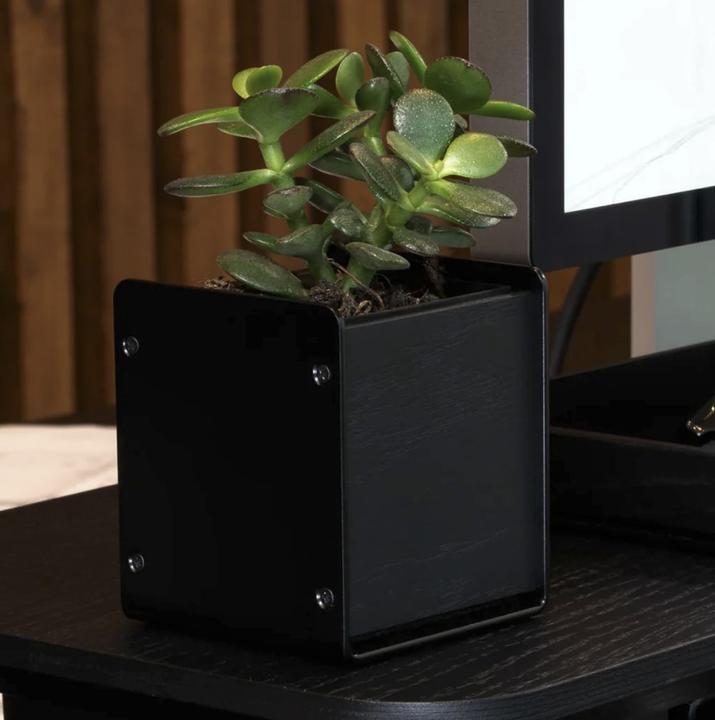 Actual product image Balolo Planter All Black (7 x 7 x 8.20 cm)