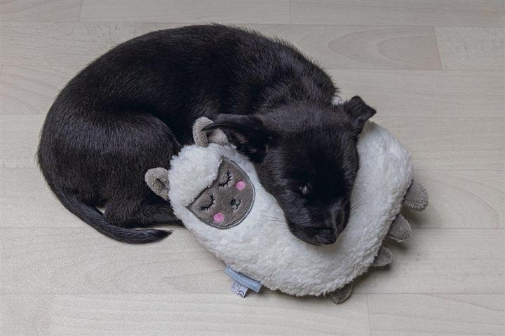 Actual product image Beeztees Puppy Cuddle Toys and Heartbeat Simulator (Puppy Toy)