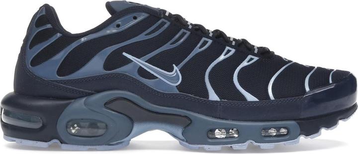 Image du produit Nike Air Max Plus Obsidian Aluminum (45)