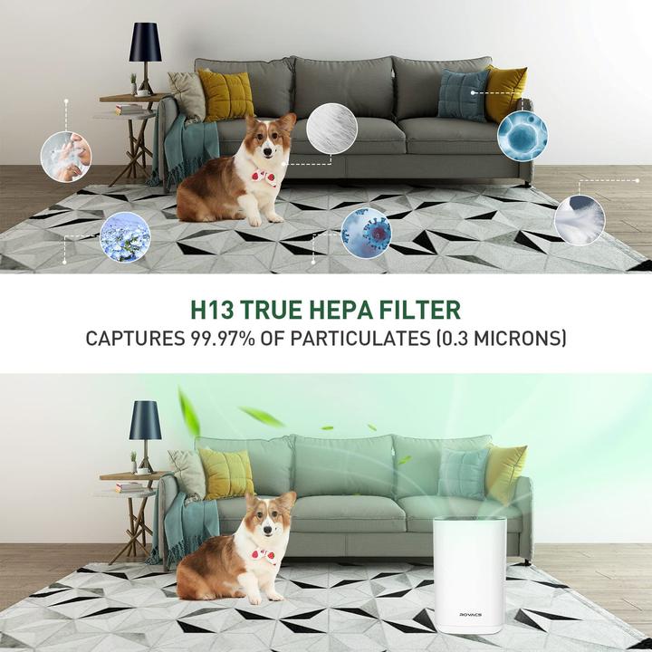 Actual product image Rovacs Air purifier H13, B-RV220 (50 m²)