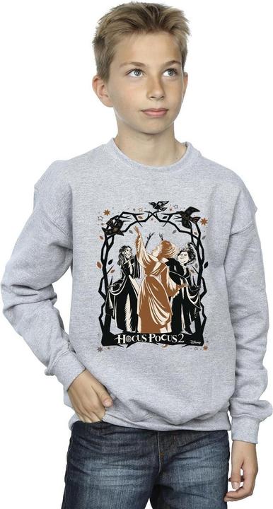 Produktbild Disney Hocus Pocus Birds Sweatshirt Jungen (152, 158)