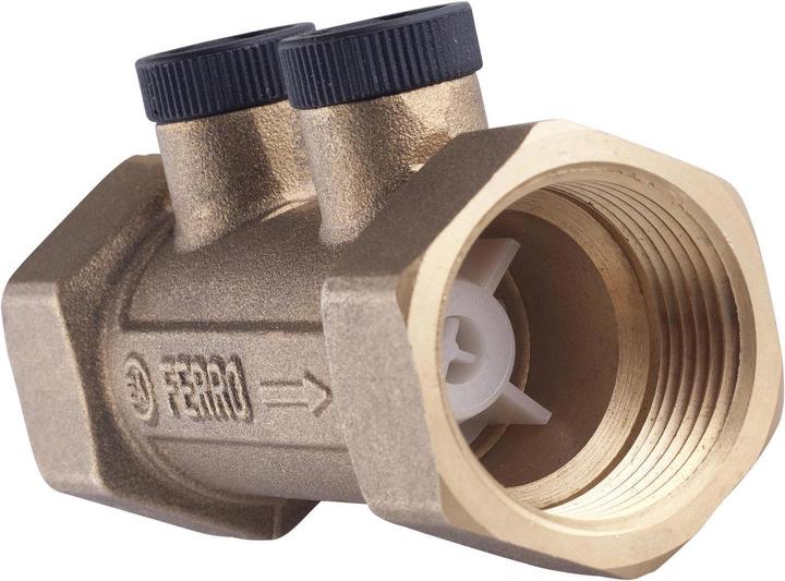 FERRON Anti-contamination valve to protect the return flow GW 2 "ZZA06
