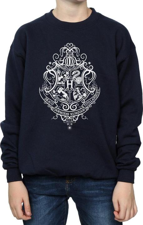 Produktbild Hogwarts Draco Dormiens Crest Sweatshirt Jungen (140, 146)