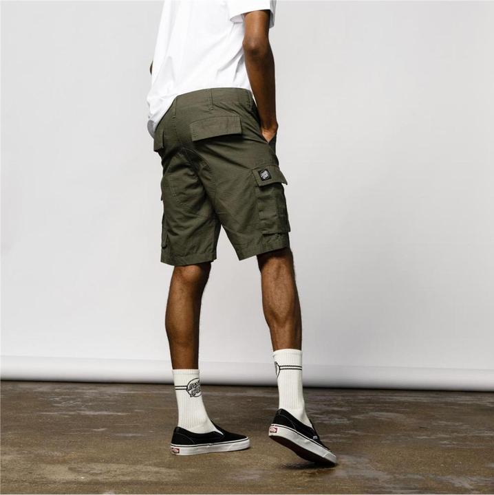 Actual product image Santa Cruz Gauntlet shorts (28)