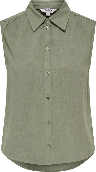 Verde lichene intenso