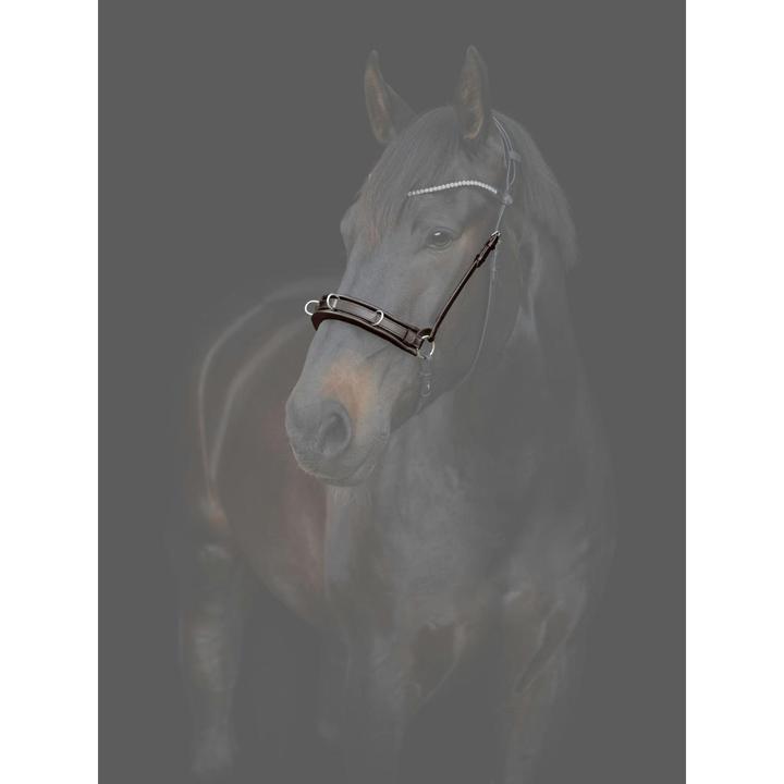 Immagine prodotto Catago Gentle