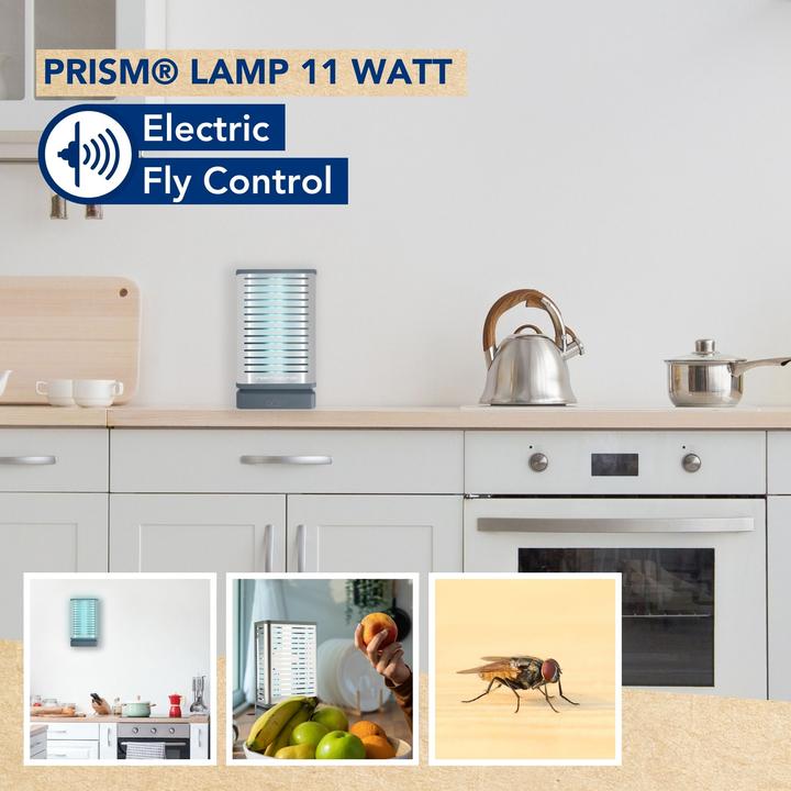 Actual product image Edialux Lampe f?r Prism? - 11 W