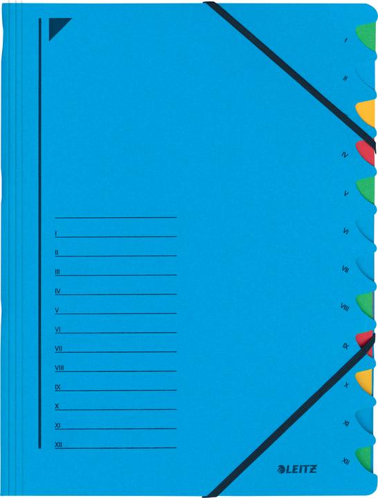 Actual product image Leitz Folder (A4, 1x)