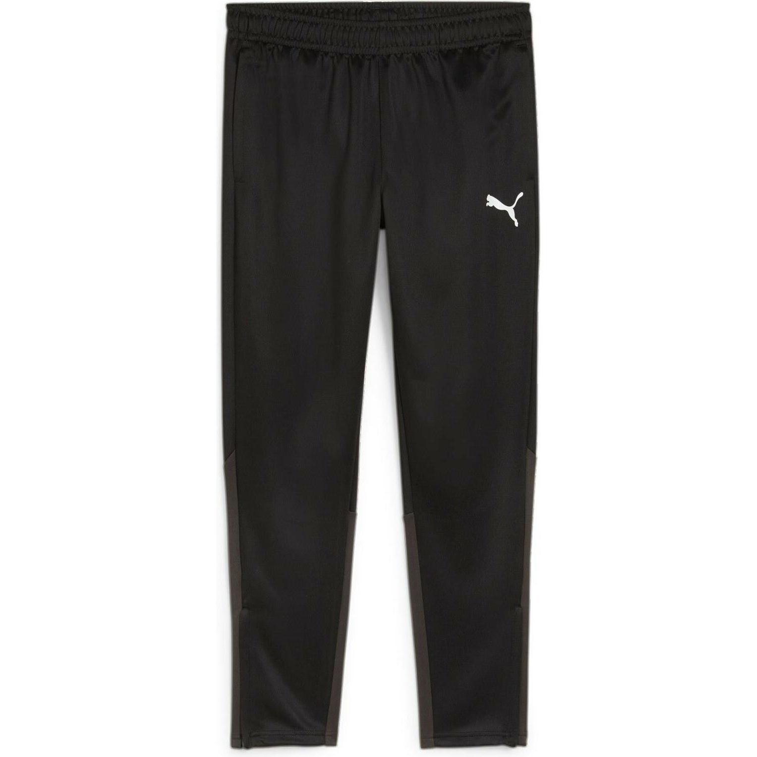 Puma, Herren, Sporthose, teamGOAL Training Pant (L), Schwarz, L