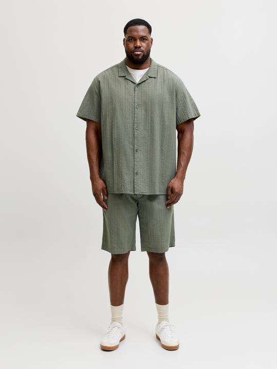 Image du produit Jack & Jones Jpstjaiden Tyson Jogger Short Pls (44)