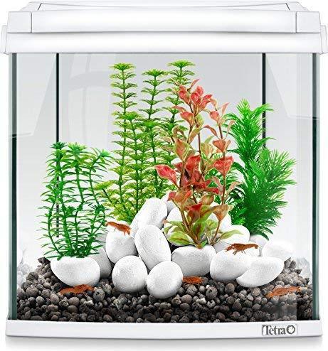 Produktbild Tetramin DecoArt Plant L Green Cabomba (Dekoration, Pflanzen)