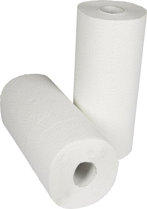 Actual product image Memo Kitchen roll Recycling Strong & Dry H2171 3lg. 102sheets 2pcs. (2x)