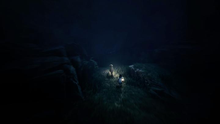 Actual product image THQ Reanimal (Xbox Series X, EN, ES, FR)