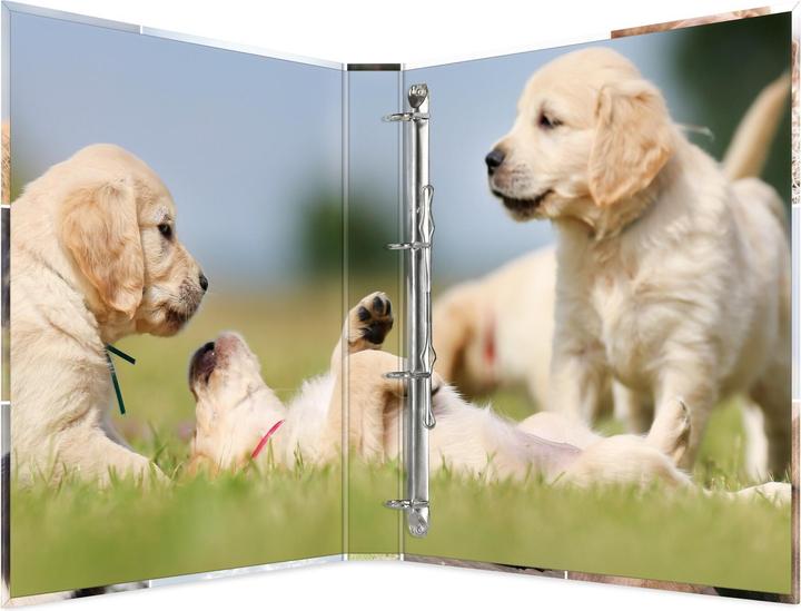 Actual product image HERMA A4 ring binder motif (A4, 35 mm, 1 pcs.)