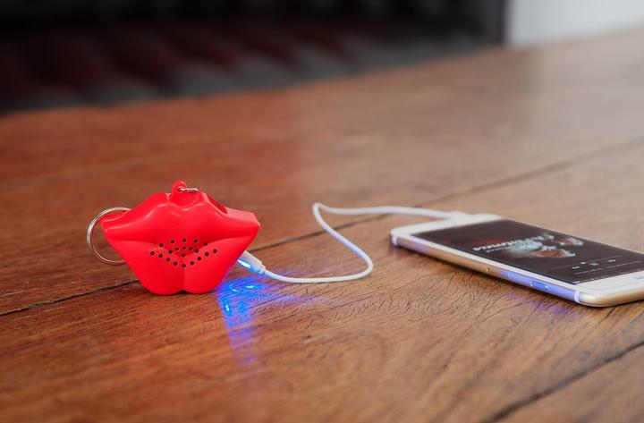 Actual product image NPW Lips Speaker Keychain