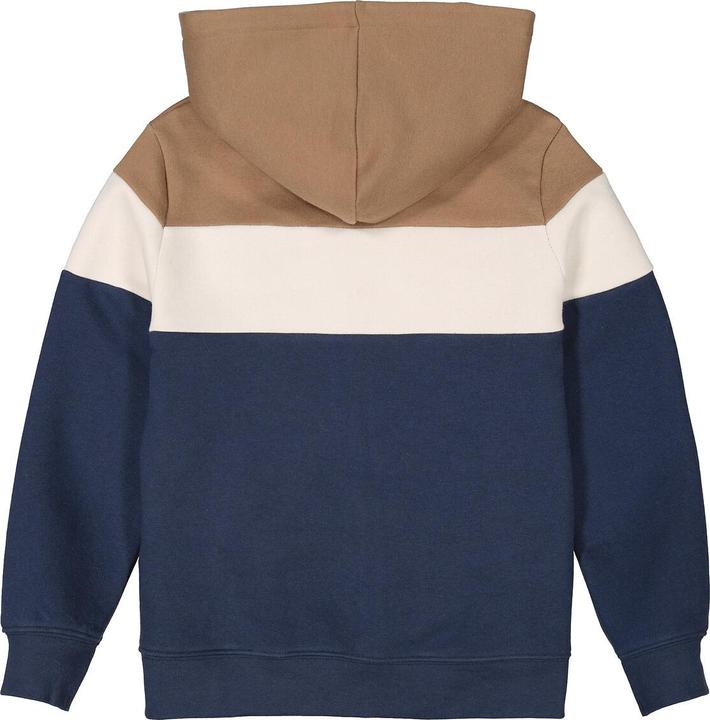 Image du produit La Redoute Collections Sweat à capuche avec fermeture éclair (140)