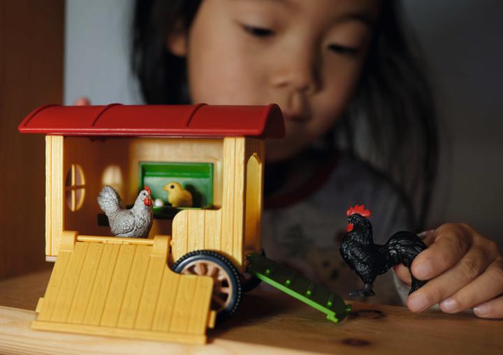 Image du produit Schleich Poulailler