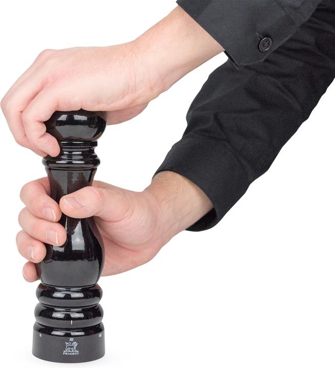 Actual product image Peugeot Paris (Salt)