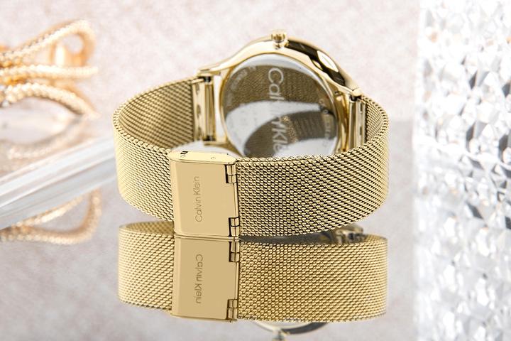 Immagine prodotto Calvin Klein Timeless Mesh Damenuhr 25200003 + BOX