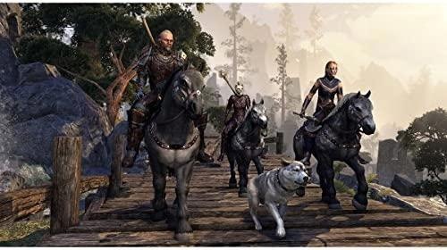 Produktbild Bethesda The Elder Scrolls Online: Morrowind PS4 (PS4)