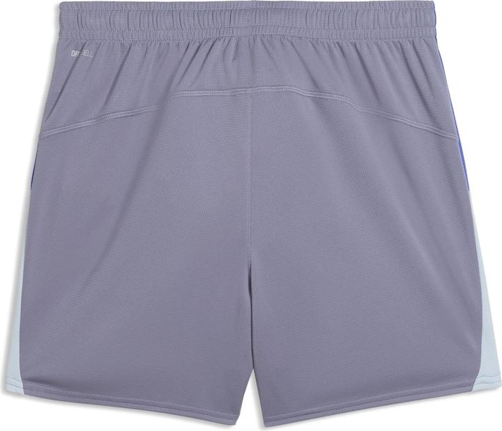 Produktbild Puma individualBLAZE Shorts (L)