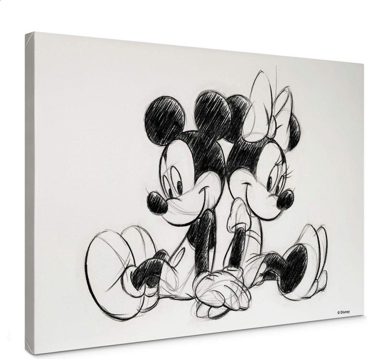 Immagine prodotto Mickey Mouse Topolino e Minnie (70 x 50 cm)