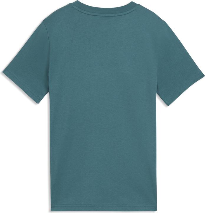 Produktbild Puma GRAPHIC Mountain Tee B (152)