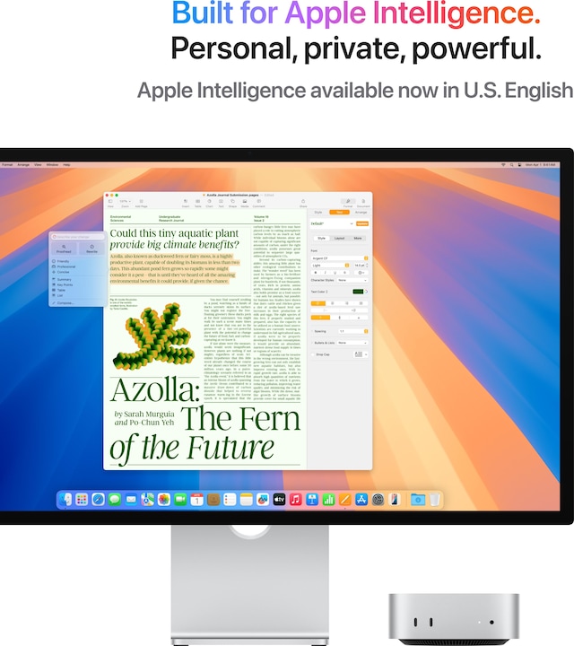 Produktbild Apple Mac Mini – 2024 (M4, 24 GB, 2000 GB, Apple M4 10-Core)
