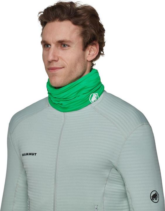 Image du produit Mammut Taiss Light Neck Gaiter